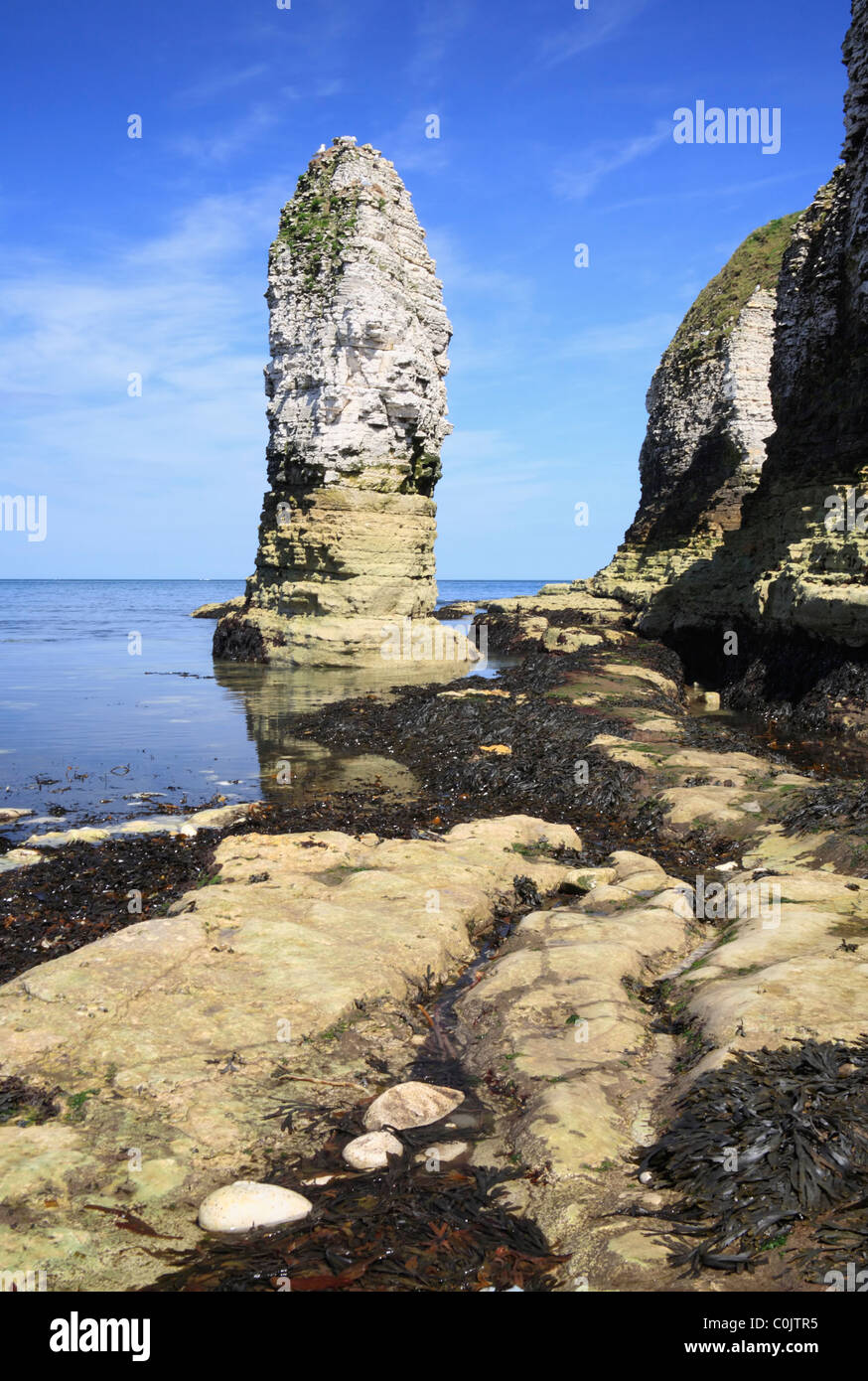 Una pila di mare nella baia di Selwick sotto Flamborough Head, Yorkshire Foto Stock