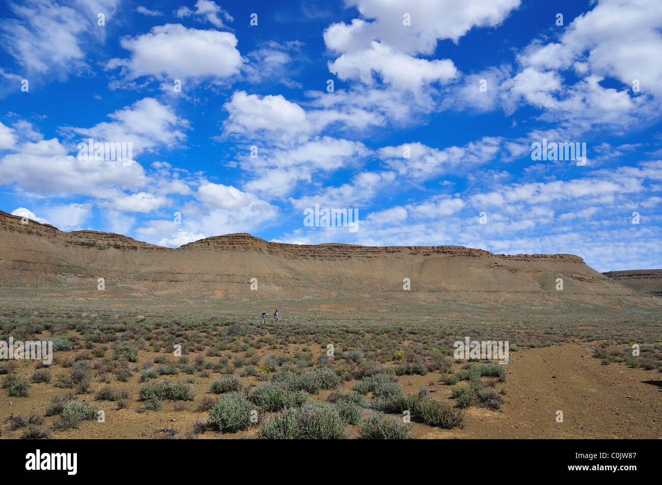 Montagna con pietra arenaria flat top in Karoo deserto. Sud Africa. Foto Stock