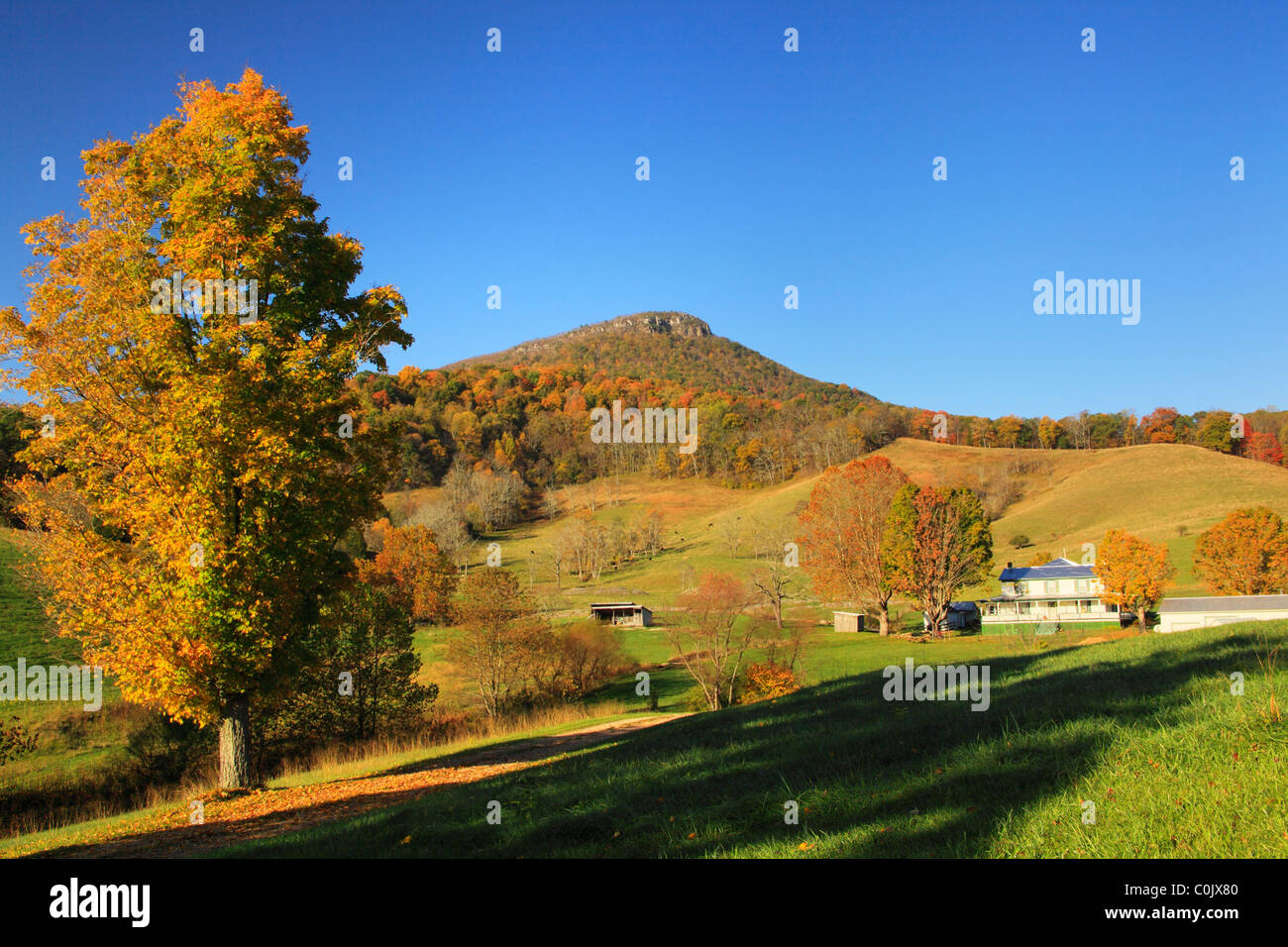 Azienda sotto la montagna di salto, Rockbridge Bagni, Shenandoah Valley, Virginia, Stati Uniti d'America Foto Stock