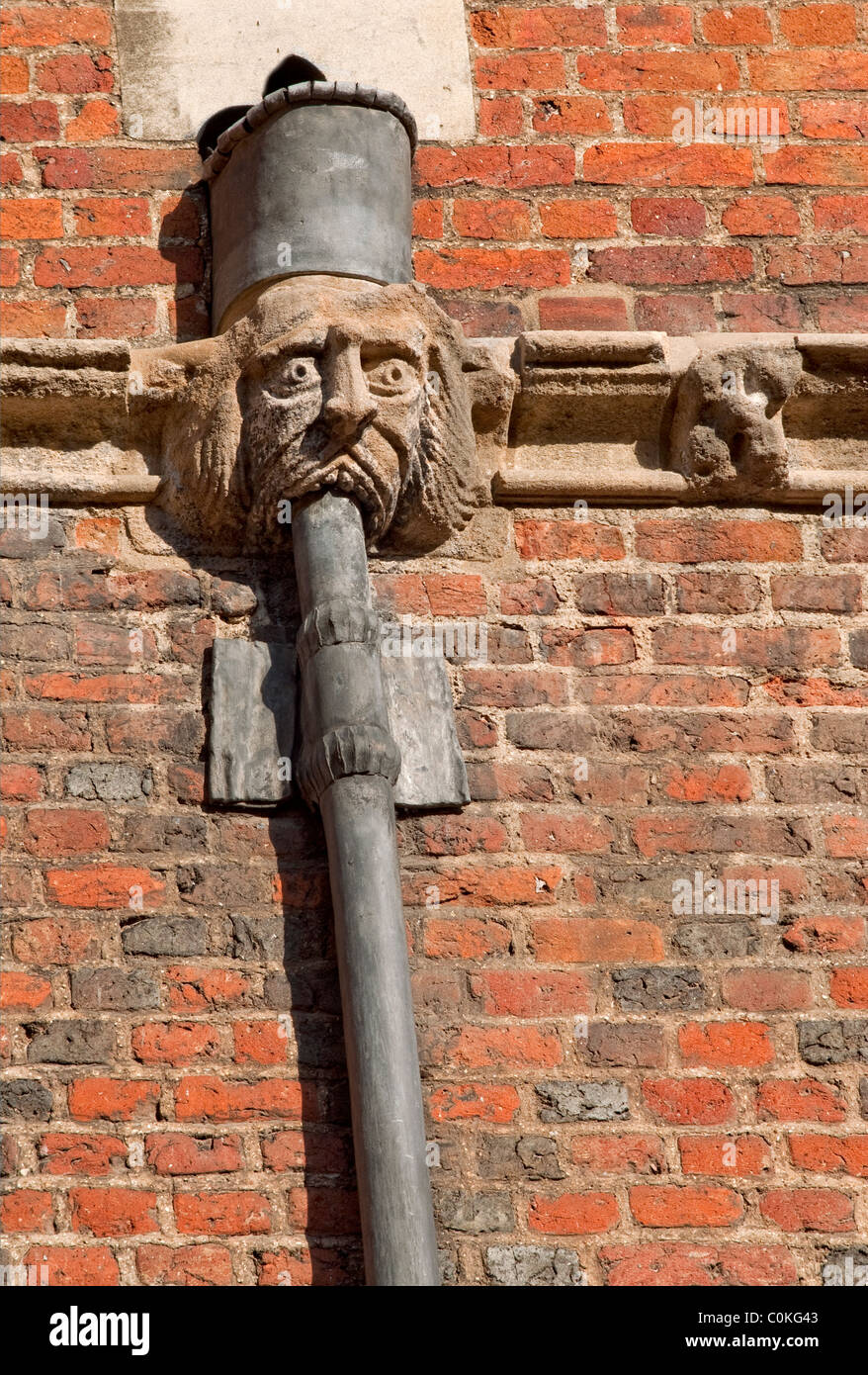 Dettagli storici della gargoyle al Kings College di Cambridge, Inghilterra. Foto Stock
