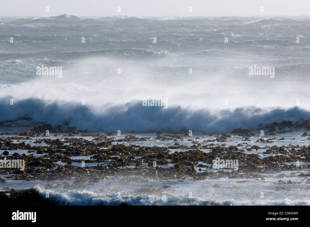 Onde che si infrangono sulla spiaggia, Western Cape, Sud Africa Foto Stock