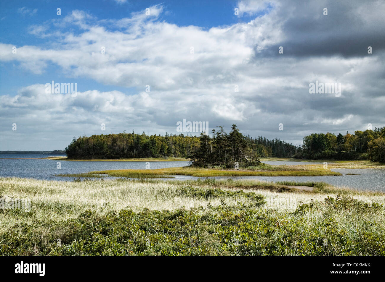 Coastal Nova Scotia sull isola di Caribou Coffee Company. Foto Stock