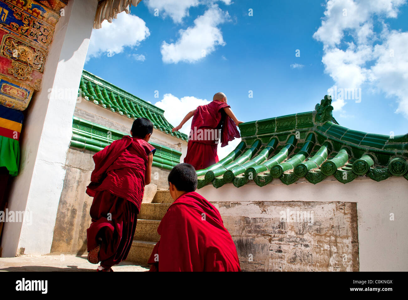 Giovane debuttante tibetano in esecuzione dei monaci nel monastero di Labrang Foto Stock