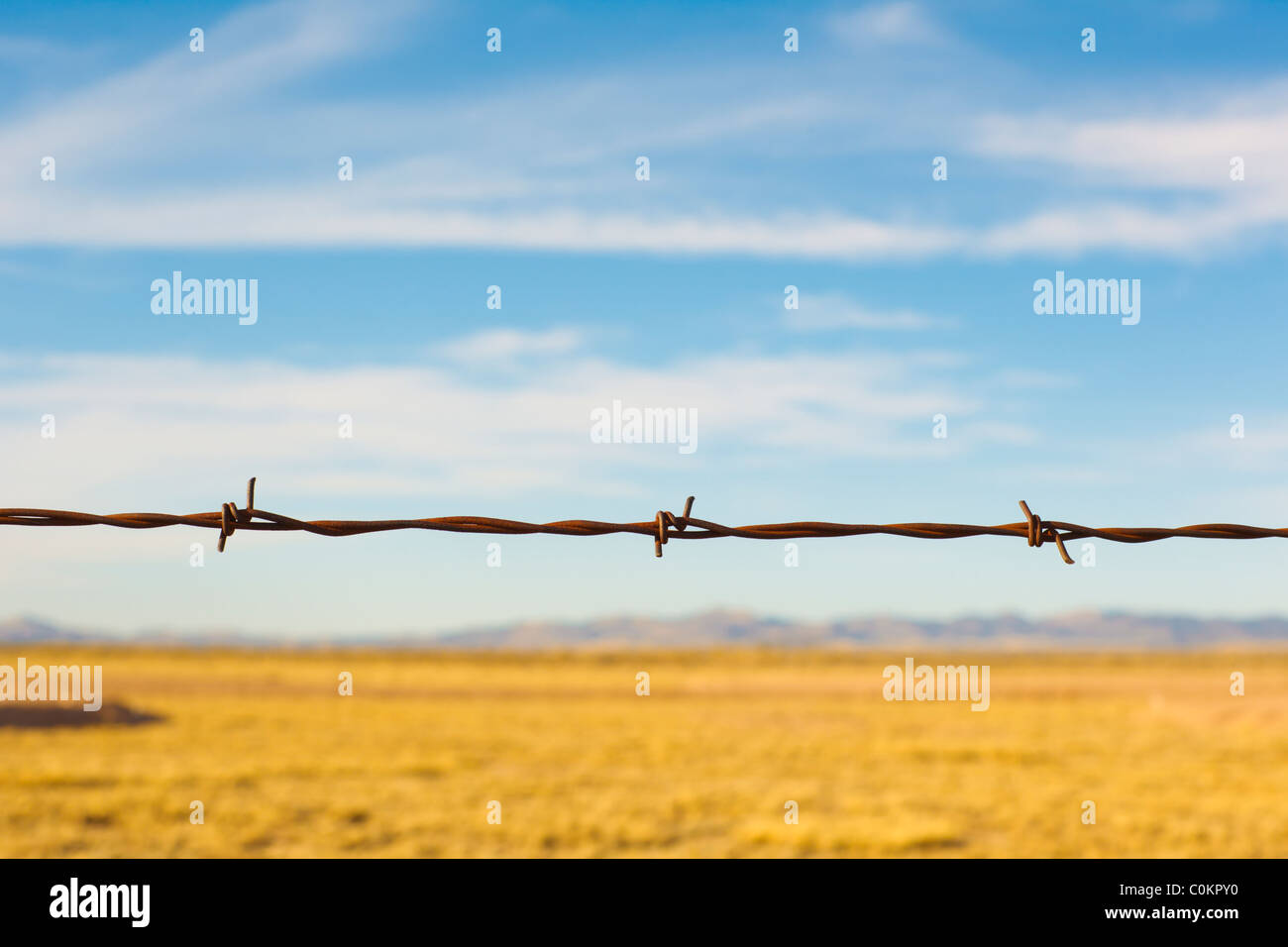 Dettaglio di un recinto di filo spinato nelle zone rurali del Nuovo Messico paesaggio. Foto Stock