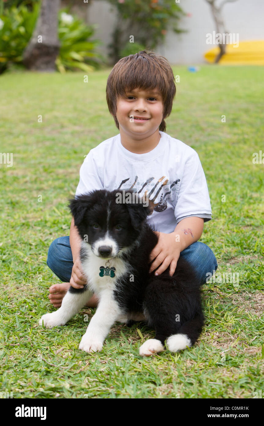 Border Collie cucciolo e un ragazzo Foto Stock