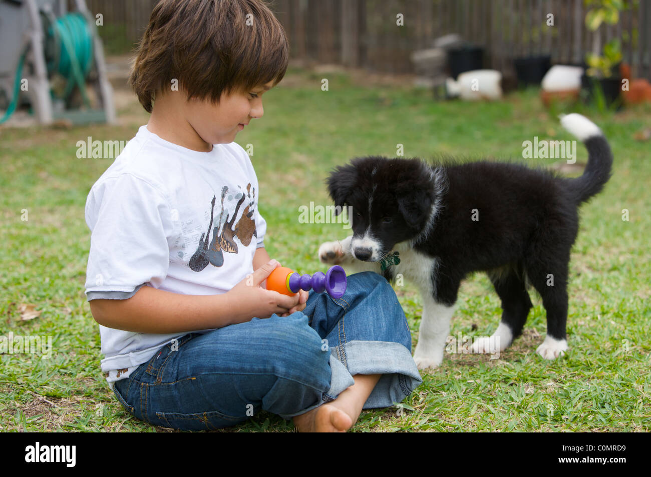 Un Border Collie cucciolo e un ragazzo Foto Stock