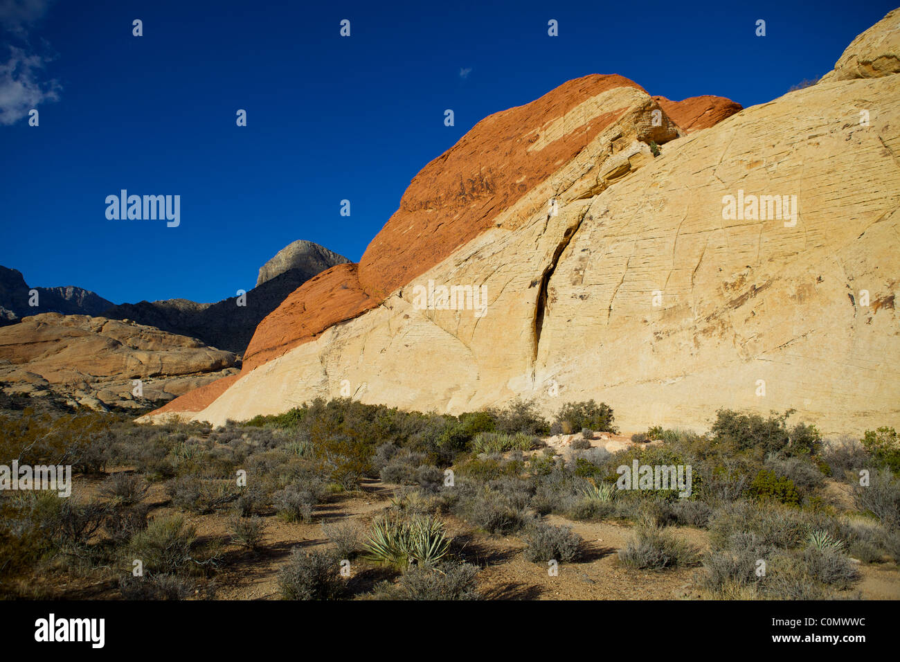 Il calicò colline, il Red Rock Canyon National Conservation Area Foto Stock