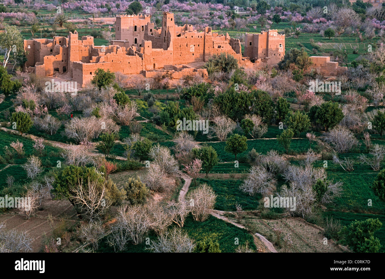 El kelaa immagini e fotografie stock ad alta risoluzione - Alamy