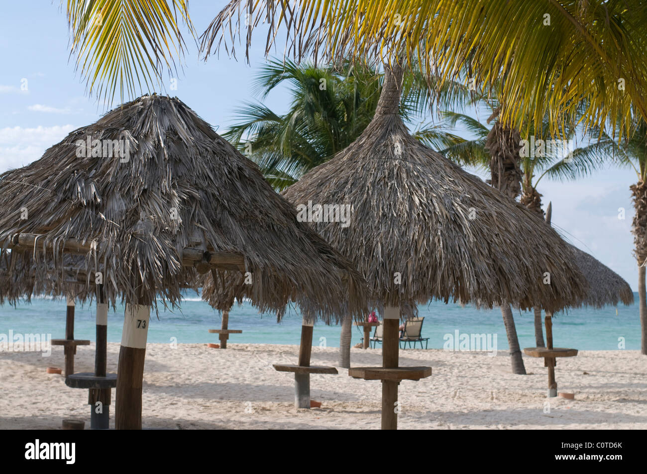 Palm drink con tetto di tabelle su una spiaggia di Aruba. Foto Stock