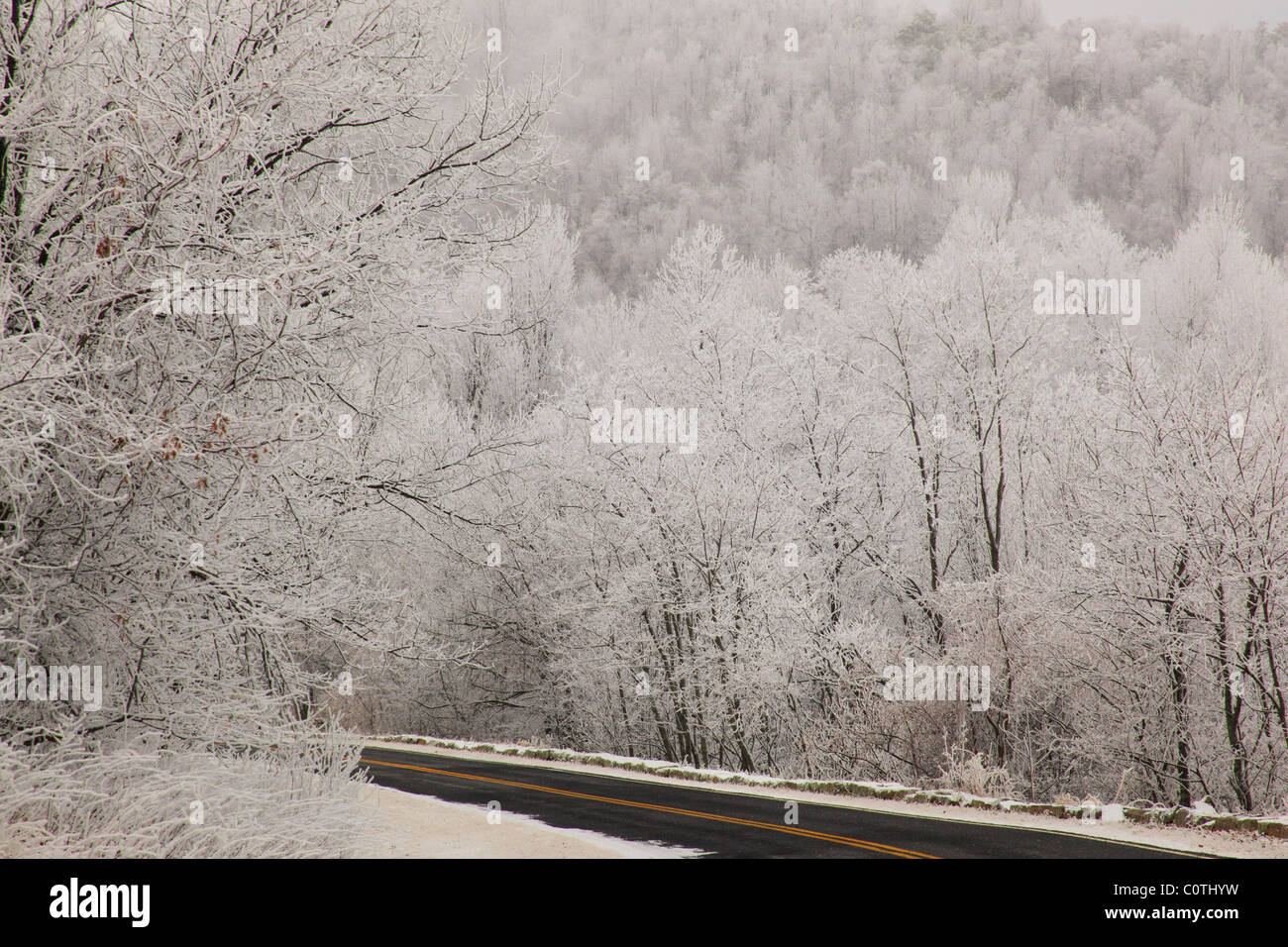 Skyline Drive vicino a fondo sabbioso, Parco Nazionale di Shenandoah, Virginia, Stati Uniti d'America Foto Stock