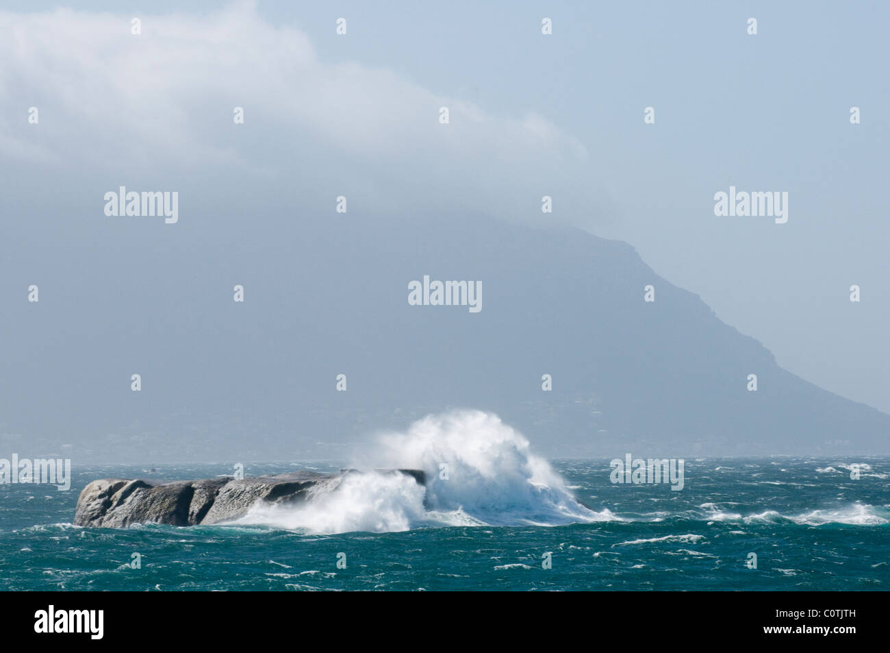 Onde che si infrangono contro le rocce, Cape Peninsula, Western Cape, Sud Africa Foto Stock