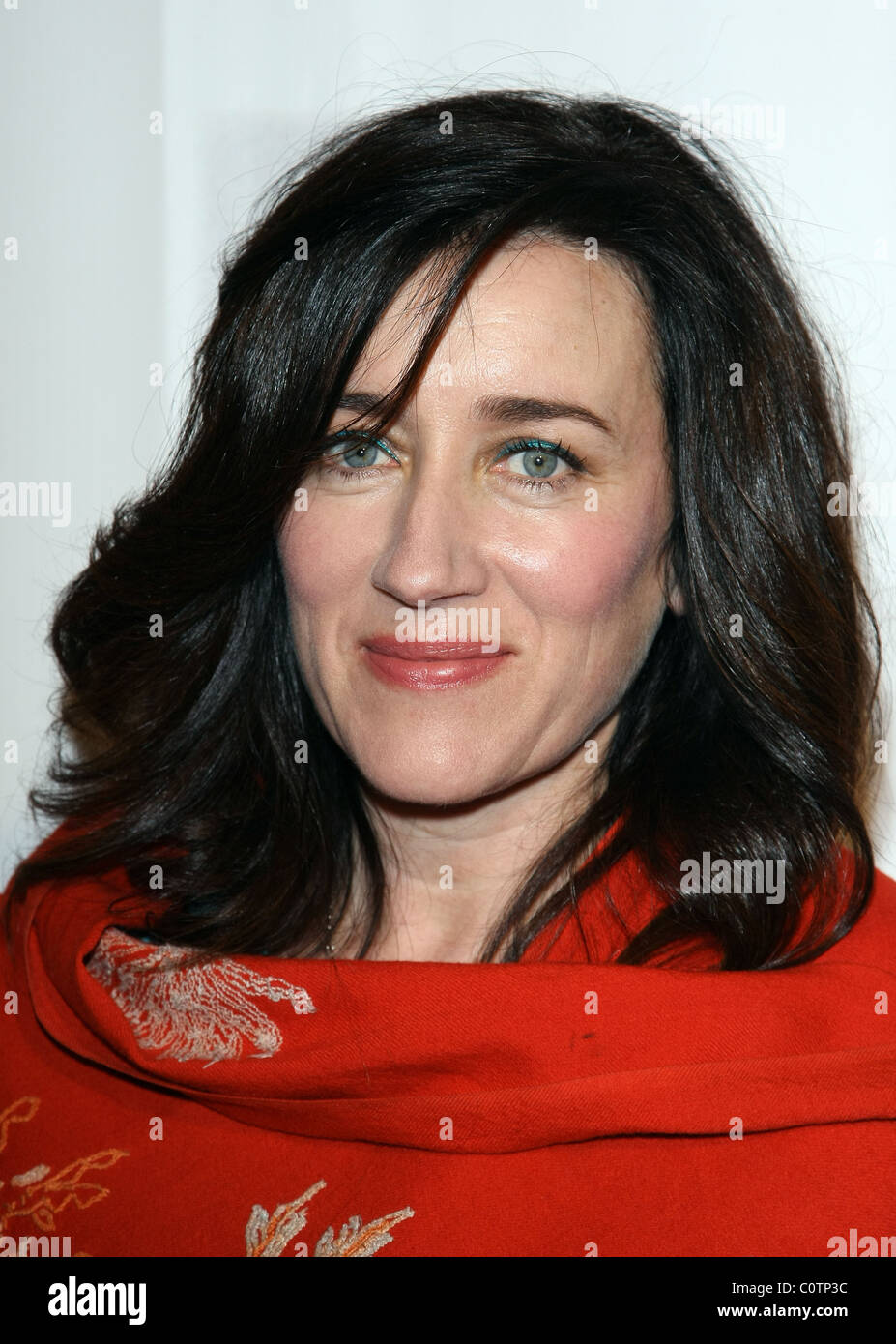 MARIA DOYLE KENNEDY US-IRLANDA PRE ACADEMY AWARDS GALA DI LOS ANGELES CALIFORNIA USA 24 febbraio 2011 Foto Stock