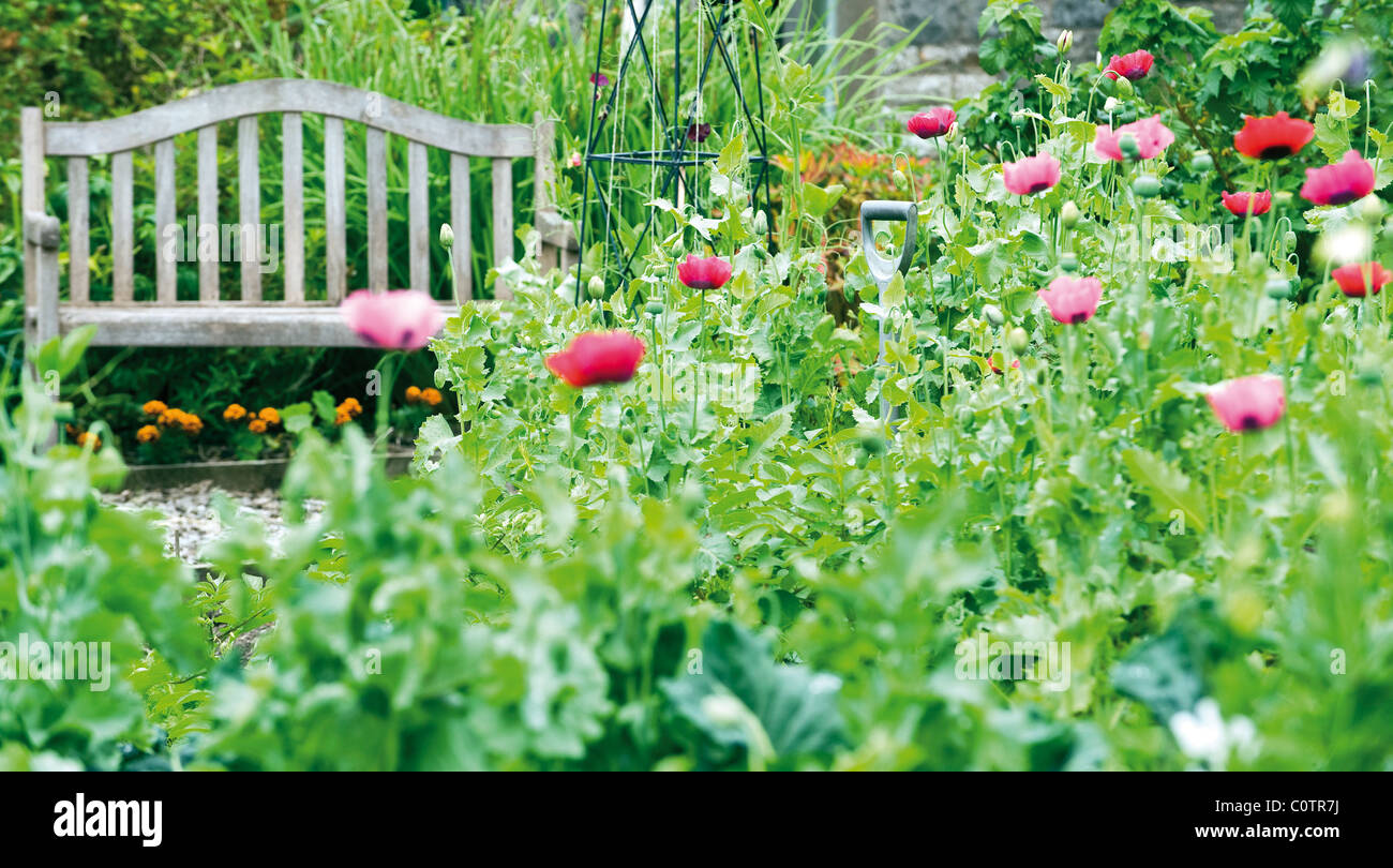 Bellissimo giardino inglese in estate e sedia da giardino Foto Stock