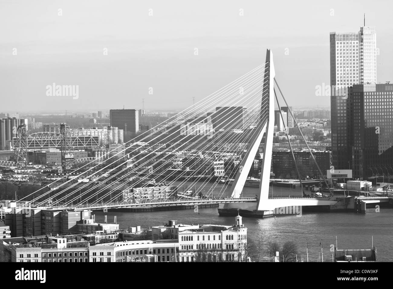 Ponte Erasmus di Rotterdam. Scala di grigi inquadratura orizzontale Foto Stock