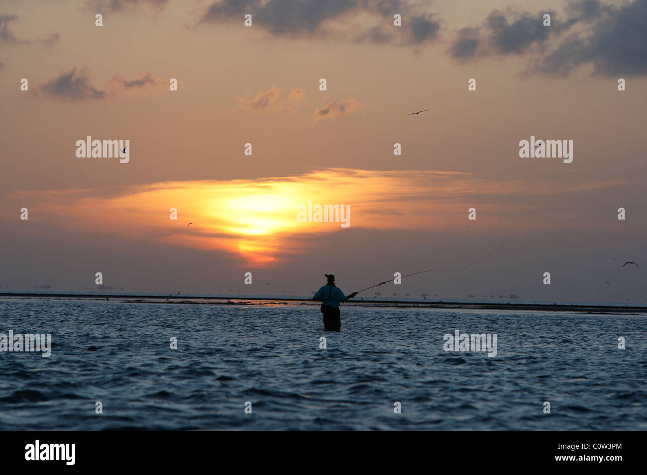 Wade pescatore tenta la fortuna in Oriente tagliare, guardando verso nord-ovest verso Port Mansfield Texas al tramonto. Foto Stock