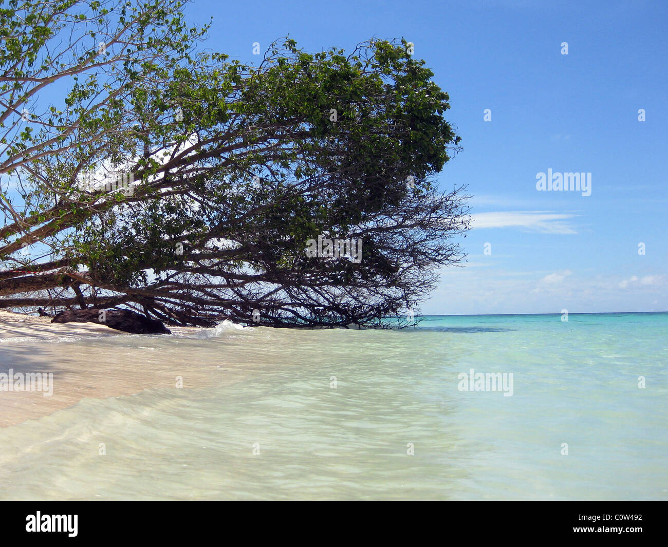 Jetty e belle spiagge a Pulau Sipadan in Borneo, Malaysia, uno dei dieci siti di immersione nel mondo. Foto Stock