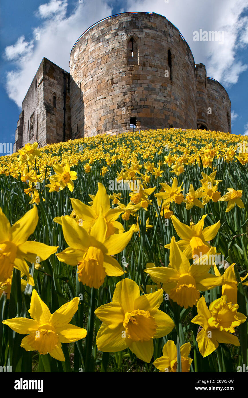 La Torre di Clifford York Yorkshire Inghilterra Foto Stock