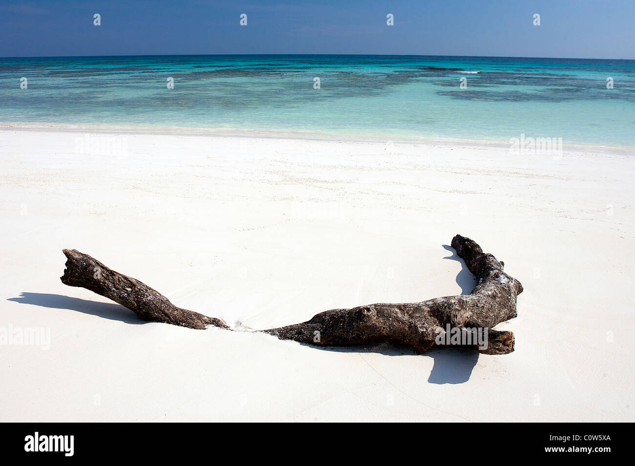 Un pezzo di driftwood si trova nella spiaggia di sabbia bianca di un'incontaminata spiaggia sabbiosa tropicale nel Simialan isole al largo della Thailandia Foto Stock