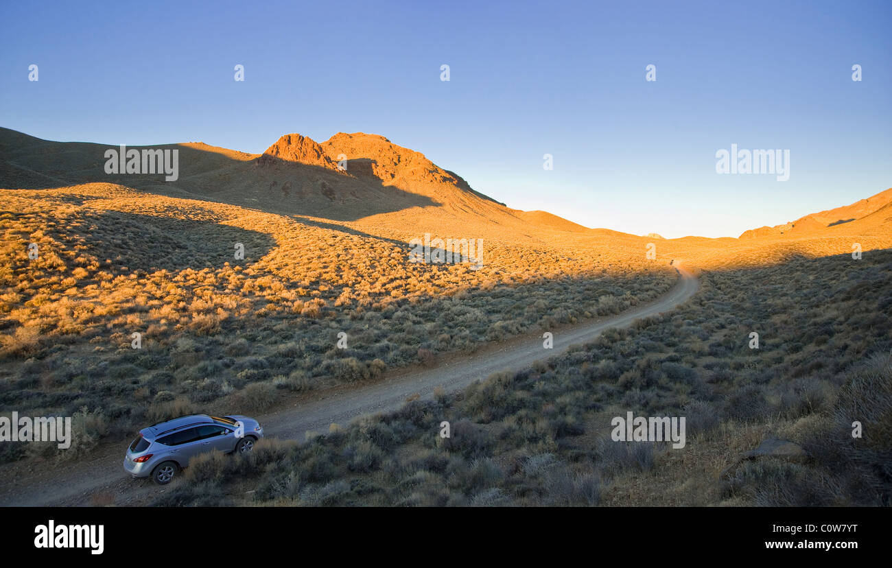 Auto e strada sterrata nel deserto, Death Valley, Stati Uniti d'America Foto Stock
