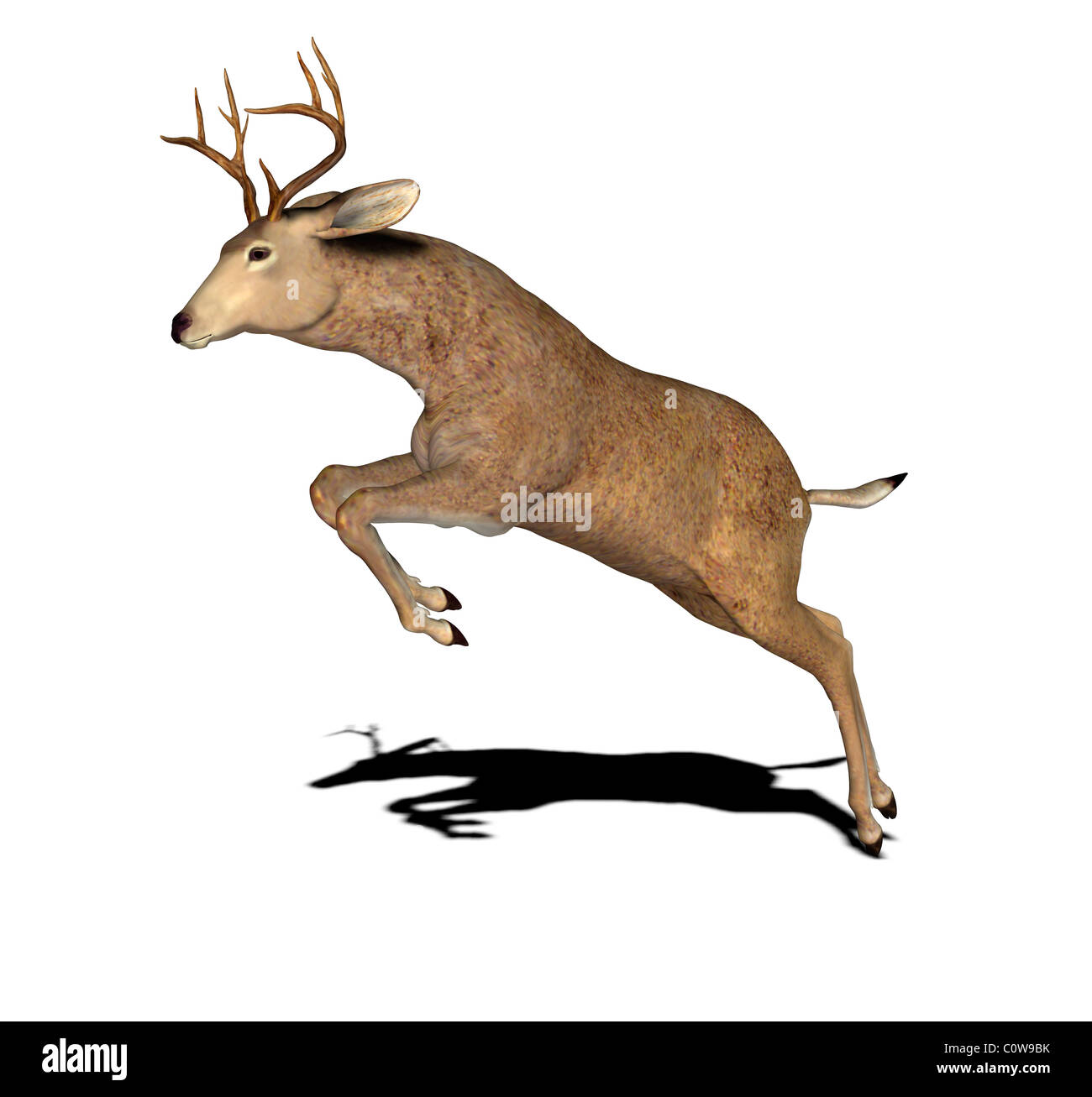 Illustrazione di cervo Foto Stock