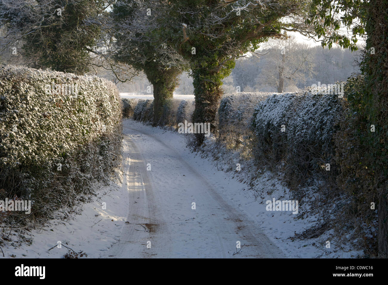 2010 Vicolo del paese Foto Stock