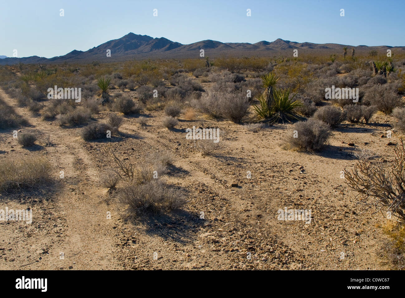 Le vie attraverso il paesaggio del Deserto Mojave in California. Foto Stock