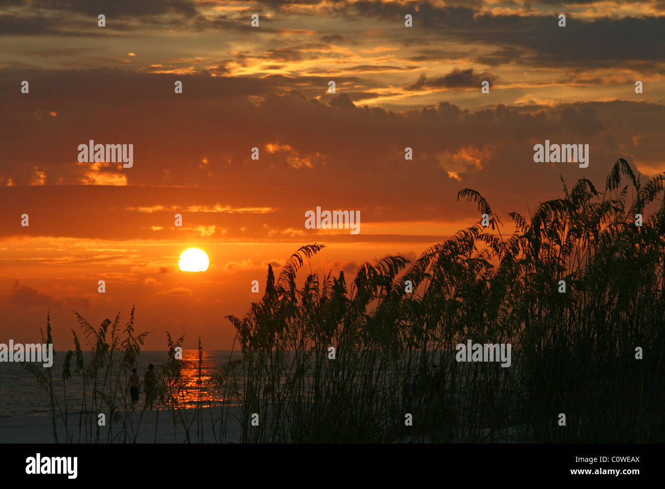 Tramonto con seaoats in Madeira Beach in Florida. Tampa Bay Area Foto Stock
