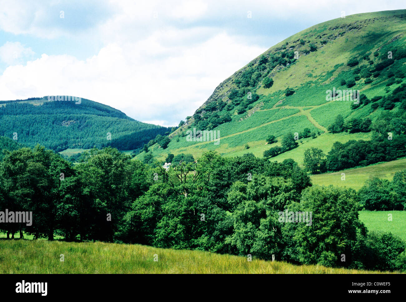 Abergwesyn, Powis, il Galles, Valle Irfon Powys Welsh valli fluviali UK scenario delle colline del paesaggio Foto Stock