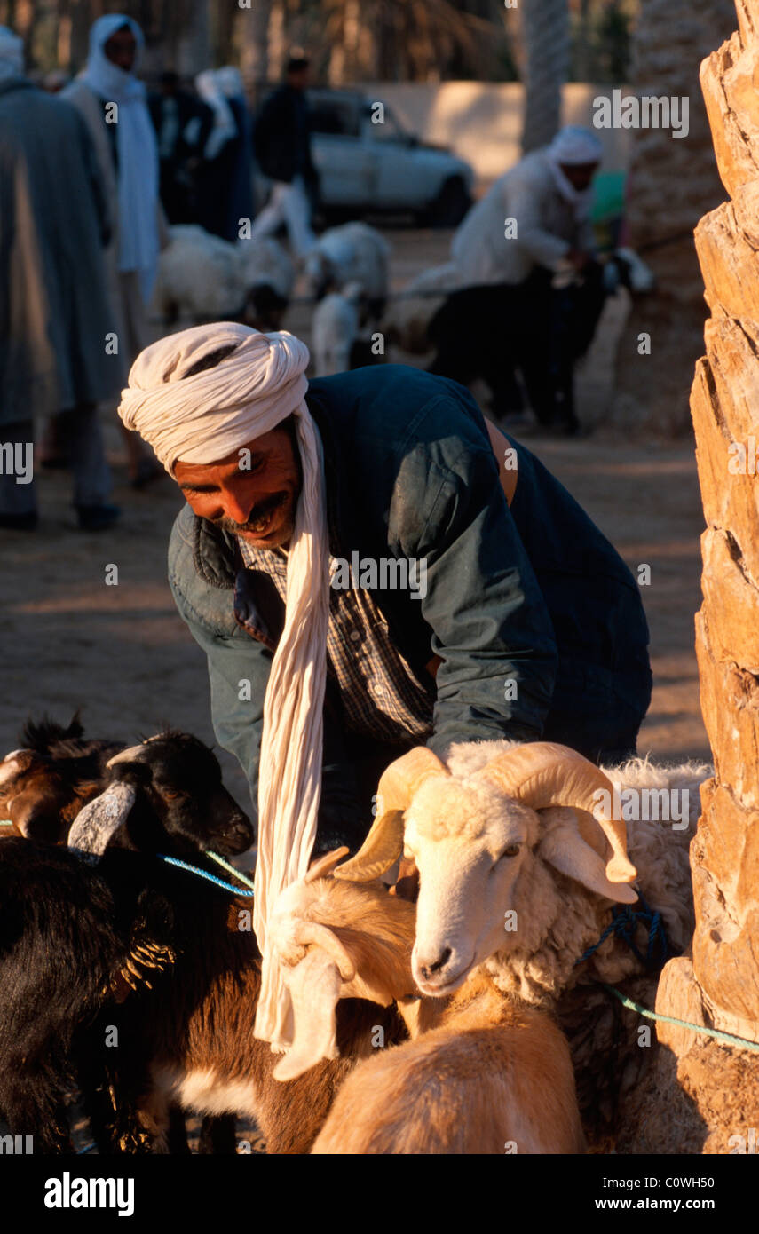 Mercato del bestiame a Douz, Tunisia Foto Stock