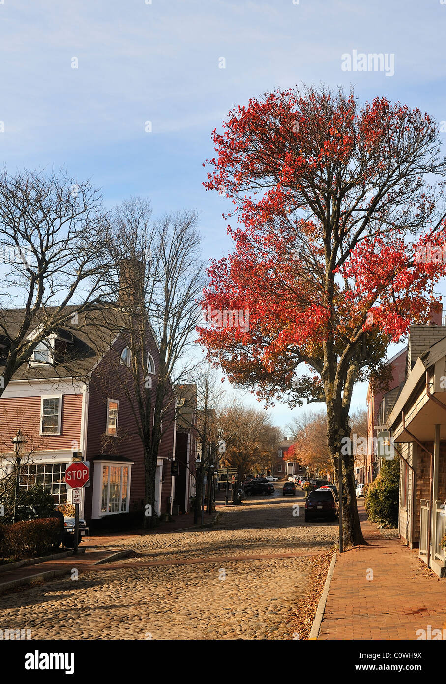 I pittoreschi vicoli in ciottoli - Easy Street e Main Street, Nantucket, Massachusetts in autunno con foglie rosse sulla struttura ad albero. Foto Stock