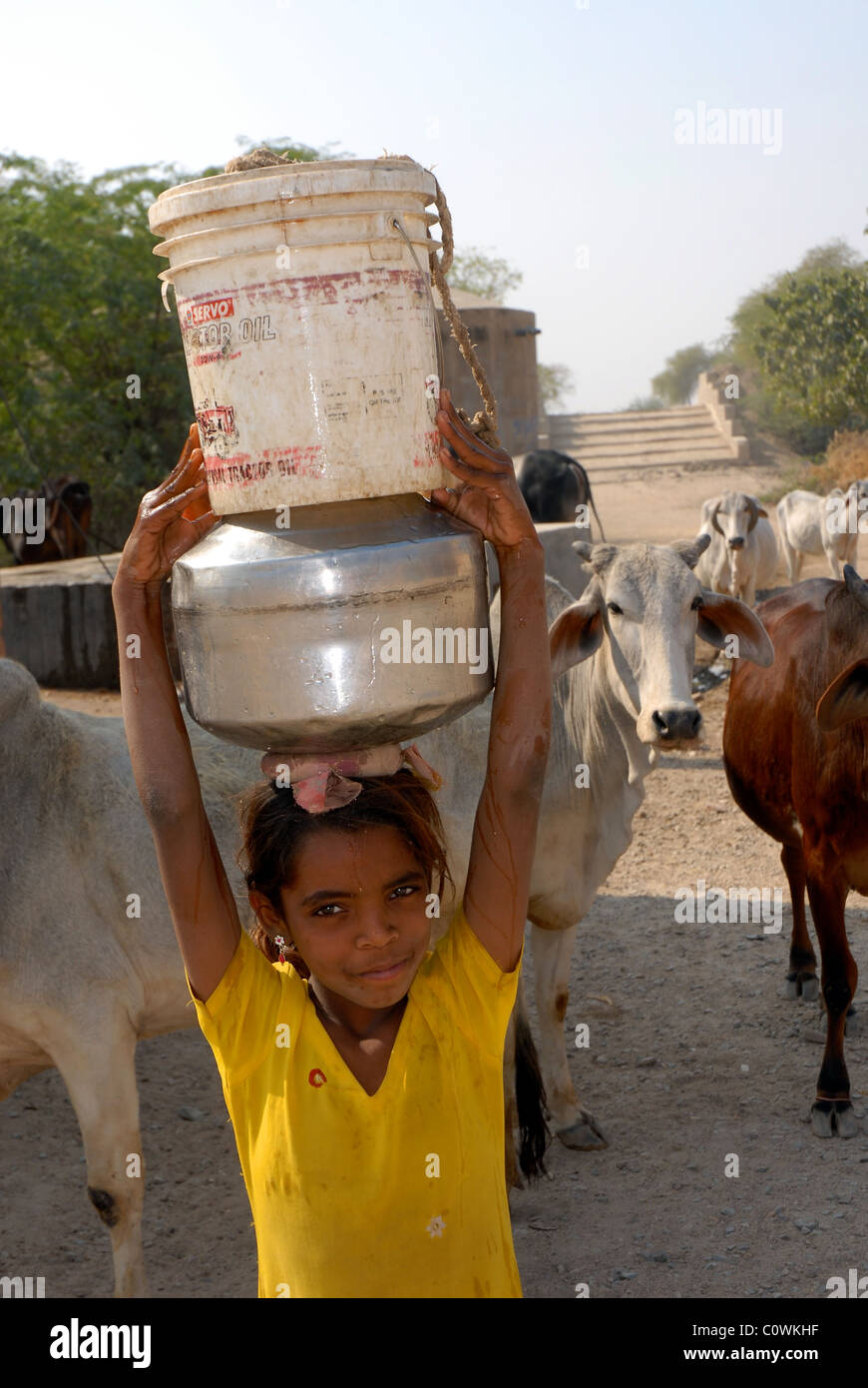 Giovane ragazza il recupero di acqua sulla sua testa a cucchiaio e brocca da borgo ben nel deserto di Rajasthani circondato da vacche Foto Stock