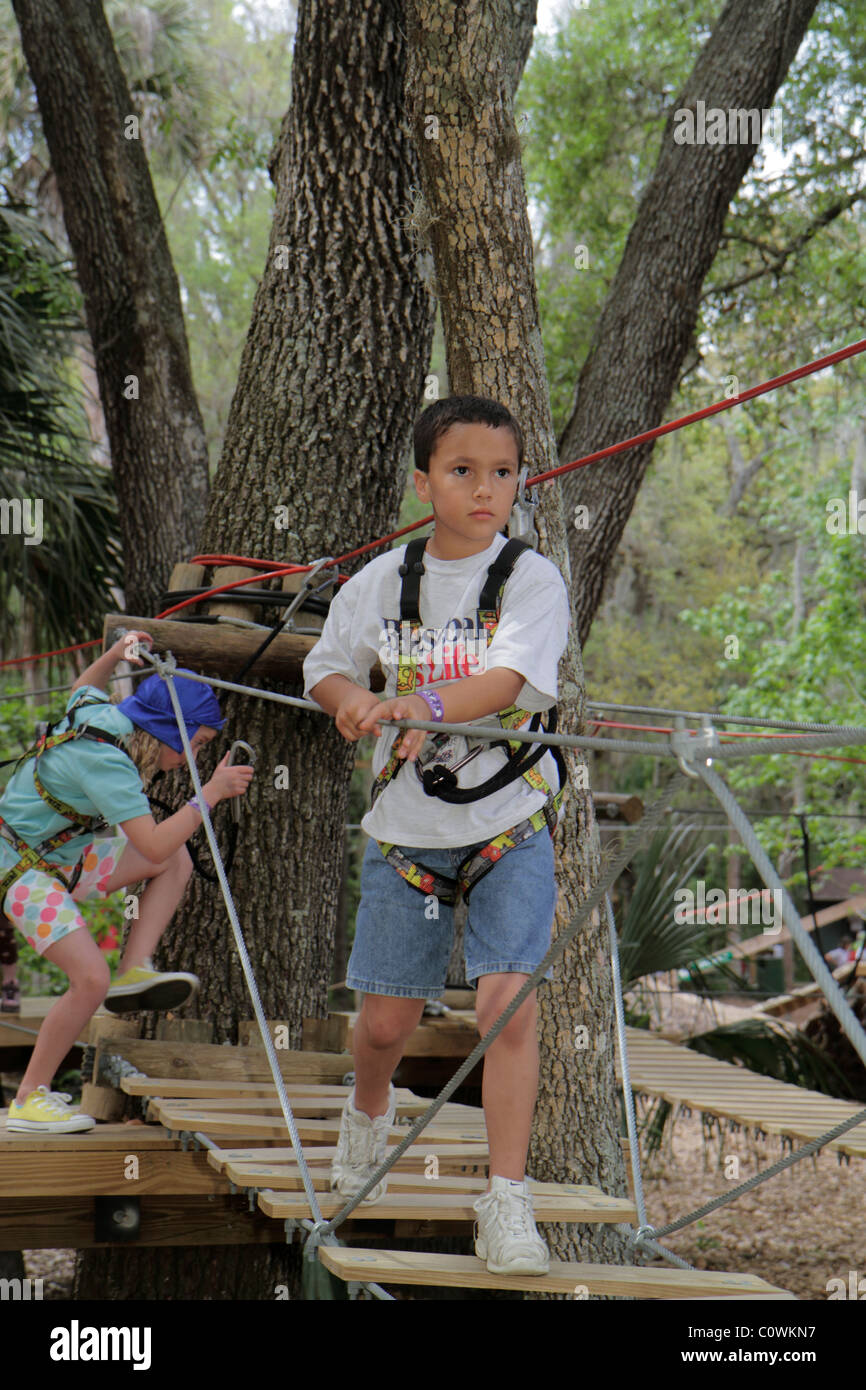 Florida Seminole County,Orlando,Sanford,Central Florida Zoo & and Botanical Gardens,zoom Air Adventure Park,tetto di alberi d'albero d'albero d'albero d'aria,corda brid Foto Stock