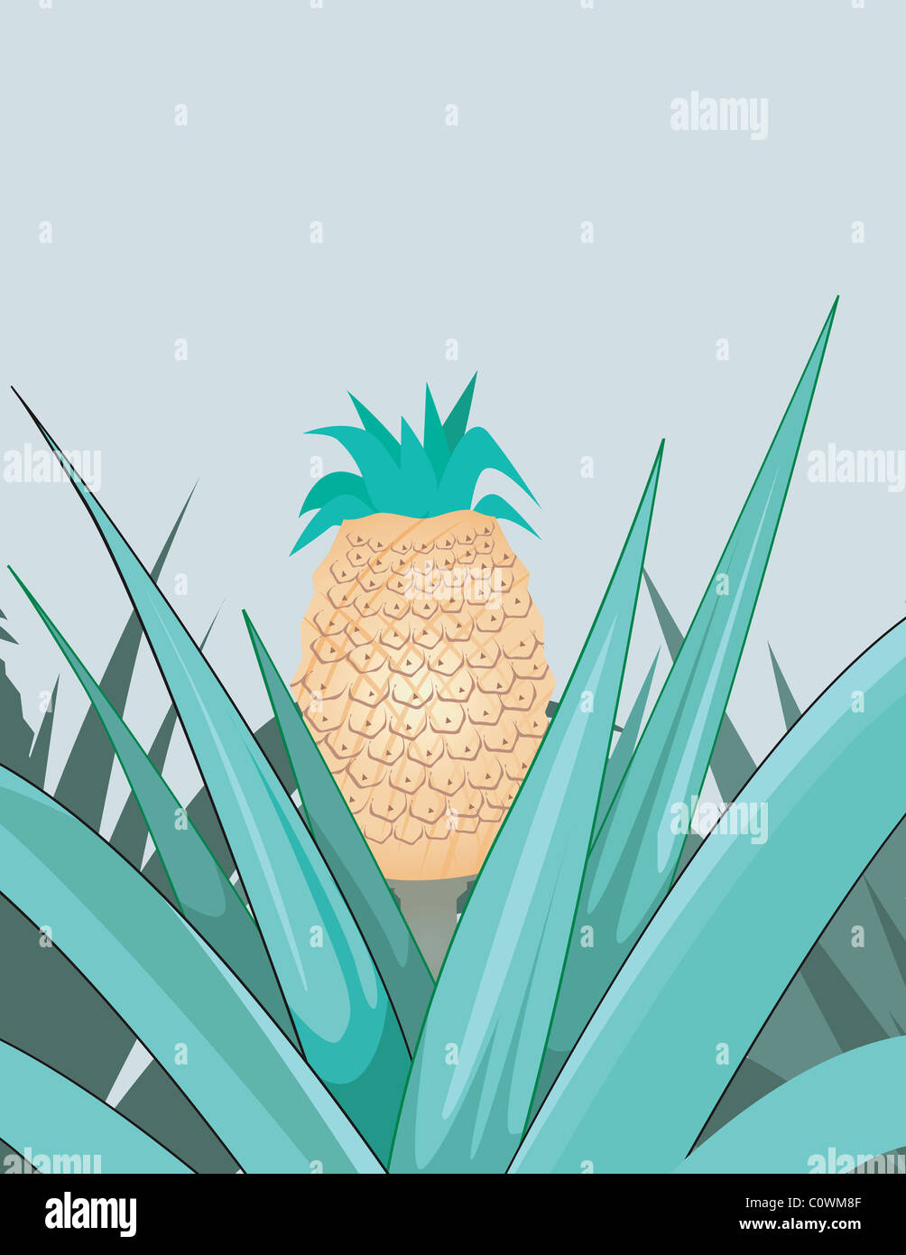 ananas Foto Stock