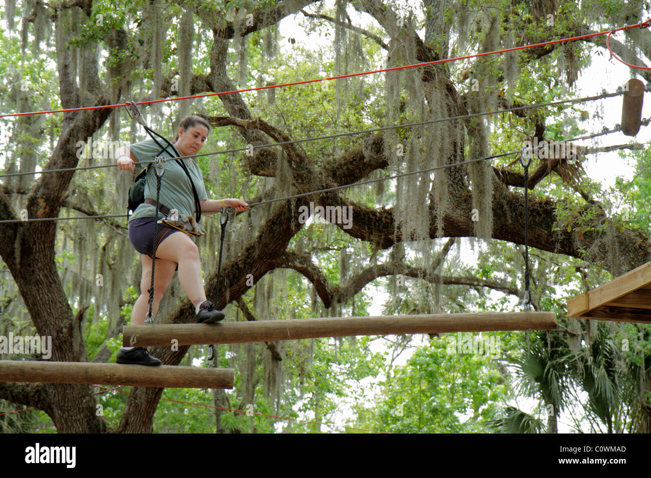 Florida Seminole County,Orlando,Sanford,Central Florida Zoo & and Botanical Gardens,zoom Air Adventure Park,tetto di alberi d'albero d'albero d'albero d'aria,corda brid Foto Stock