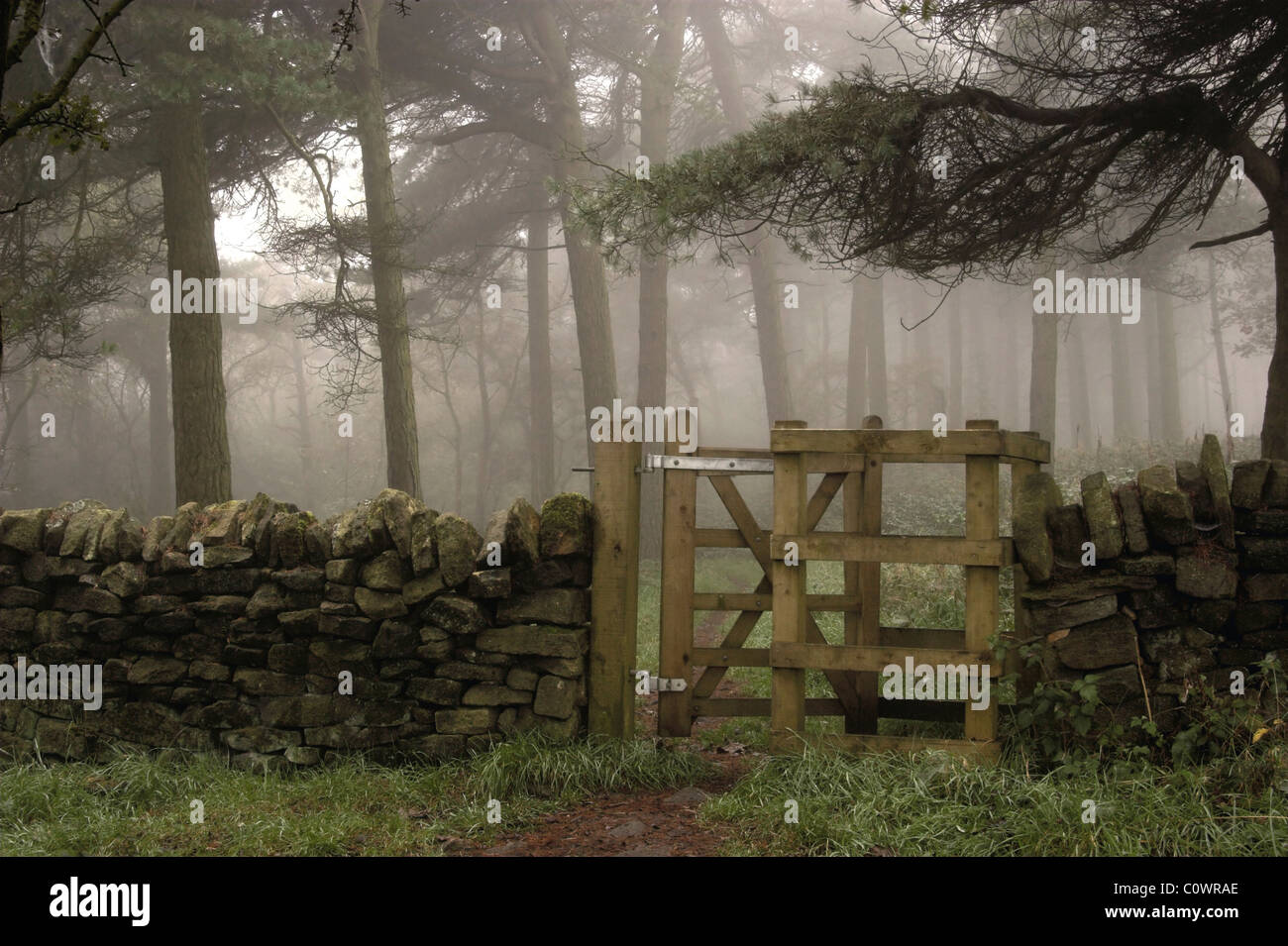 Cancello per Blacka Moor Boschi Foto Stock