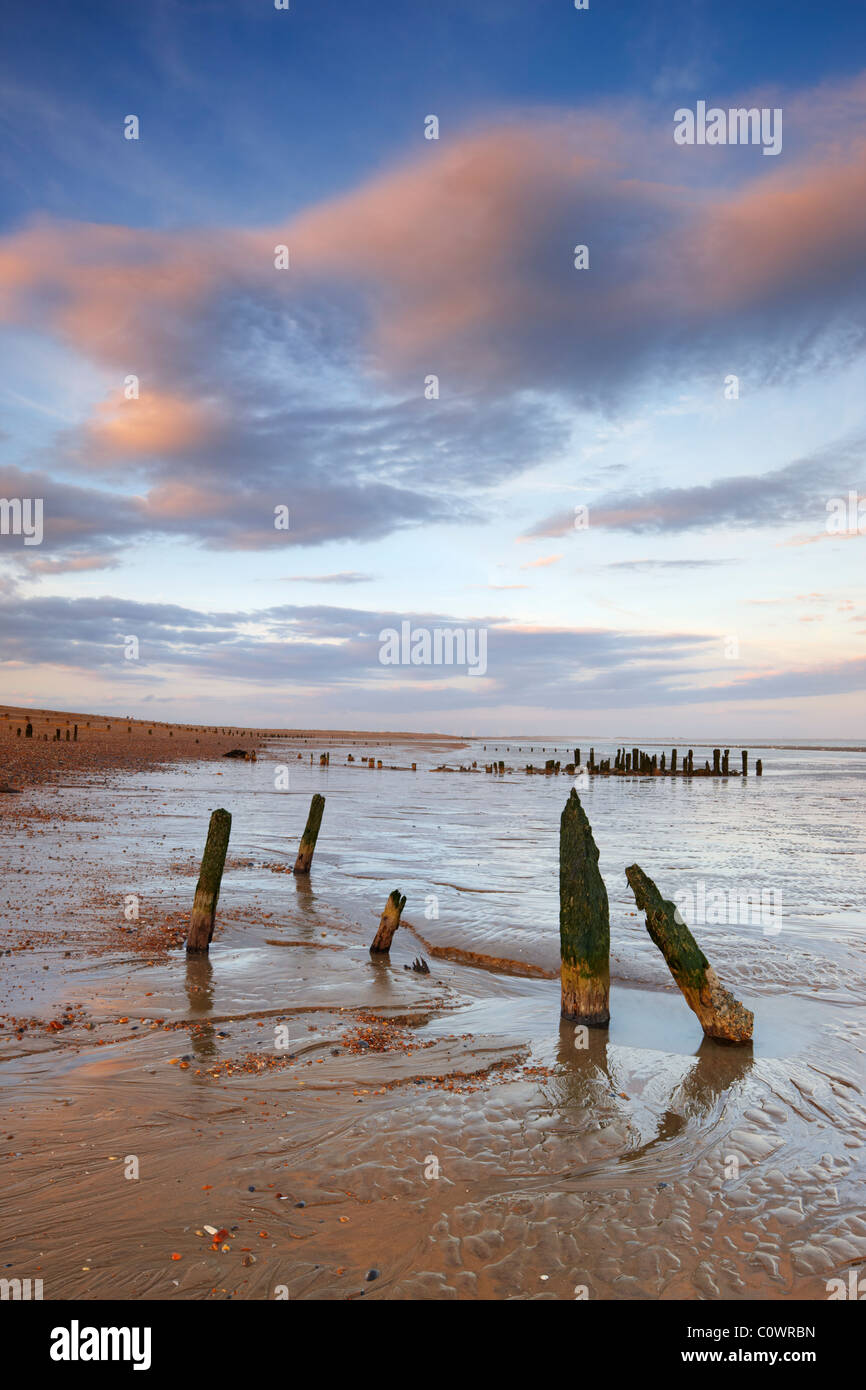 In legno antico mare difese a Winchelsea beach Foto Stock