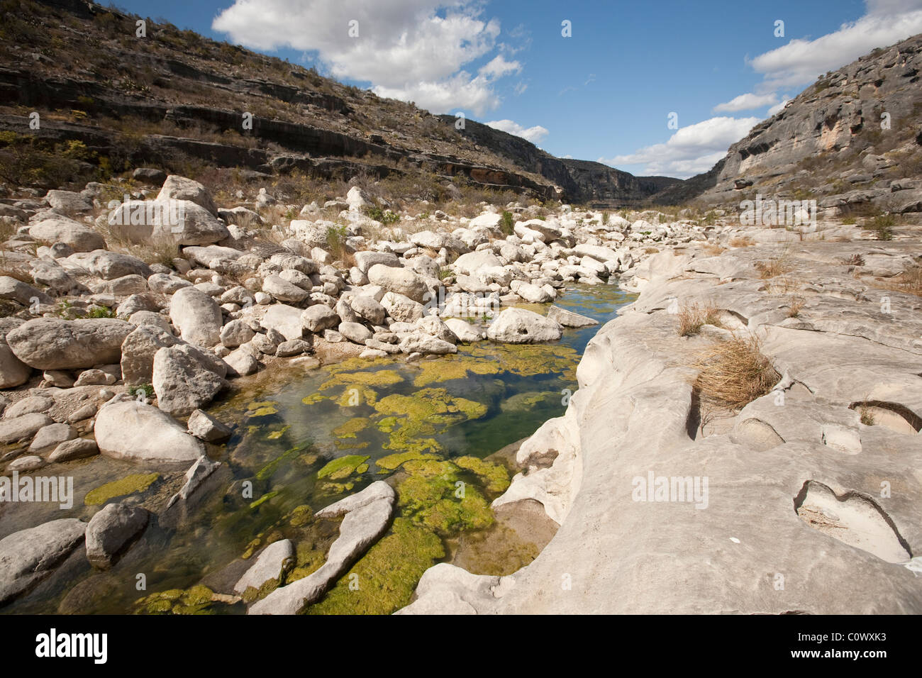 Sponde rocciose, boulder-riempito di canale su raggiunge superiore del fiume Pecos nel Amistad National Recreation Area ad ovest del Texas Foto Stock