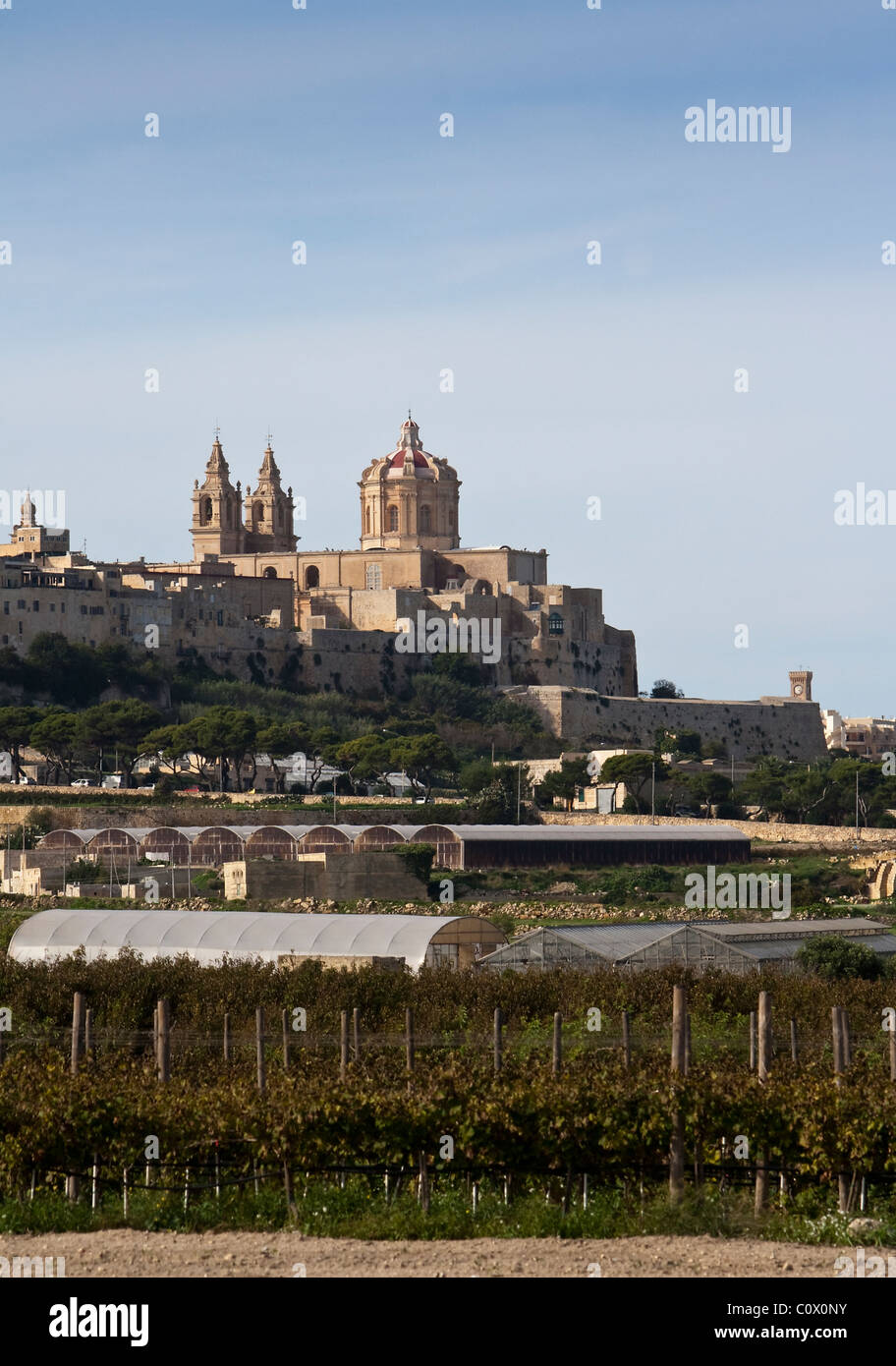 Vista su campagna verso St Pauls Cathedral nella cittadina maltese di Mdina Foto Stock