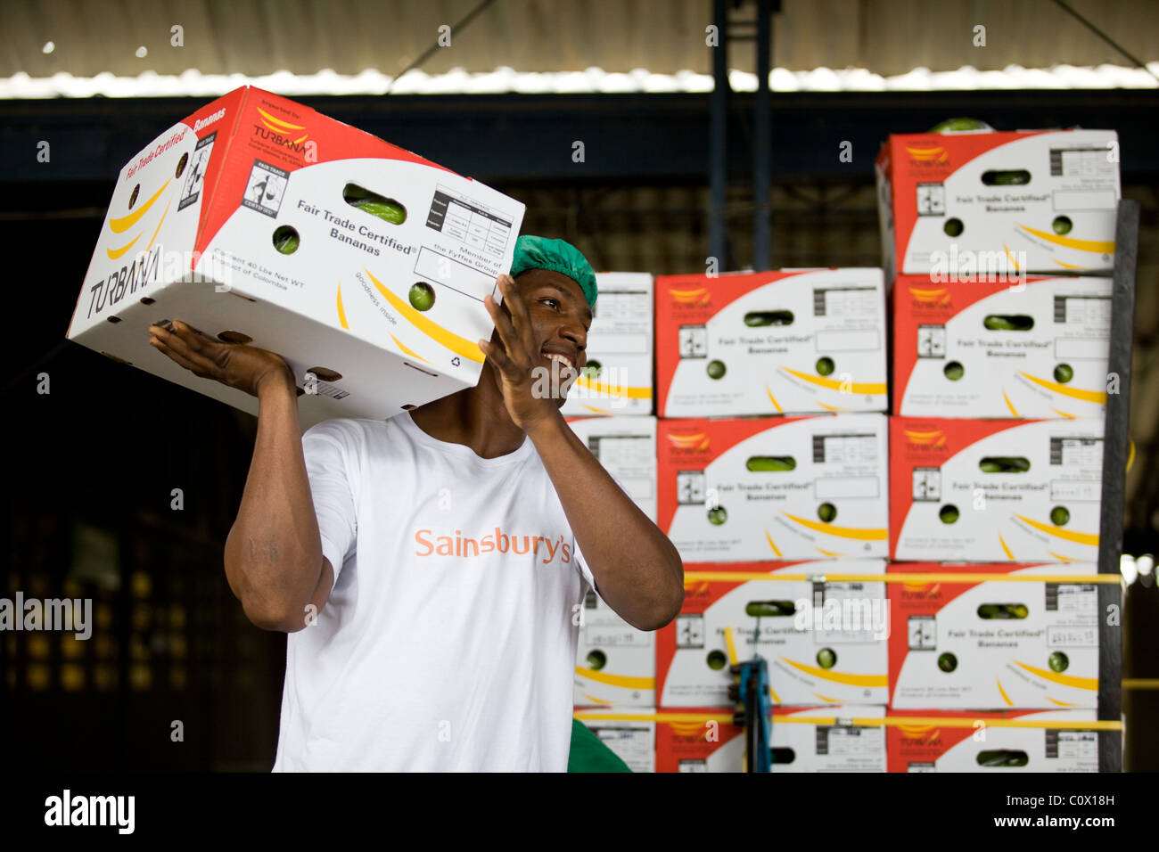 Colombiano lavoratore Banane Banane di confezionamento su un maso Foto Stock