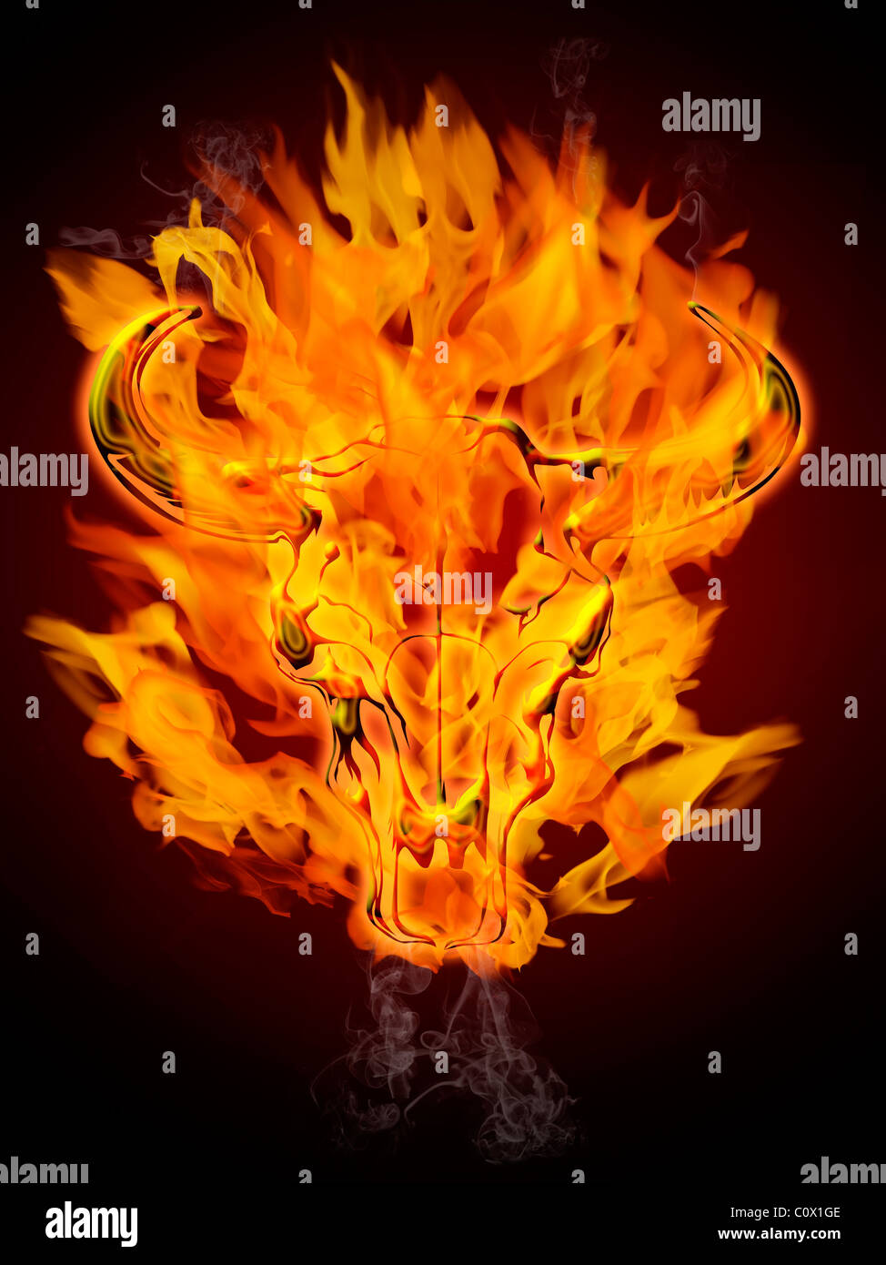 Bull Cow cranio nel fuoco ardente di fiamme e fumo Foto Stock