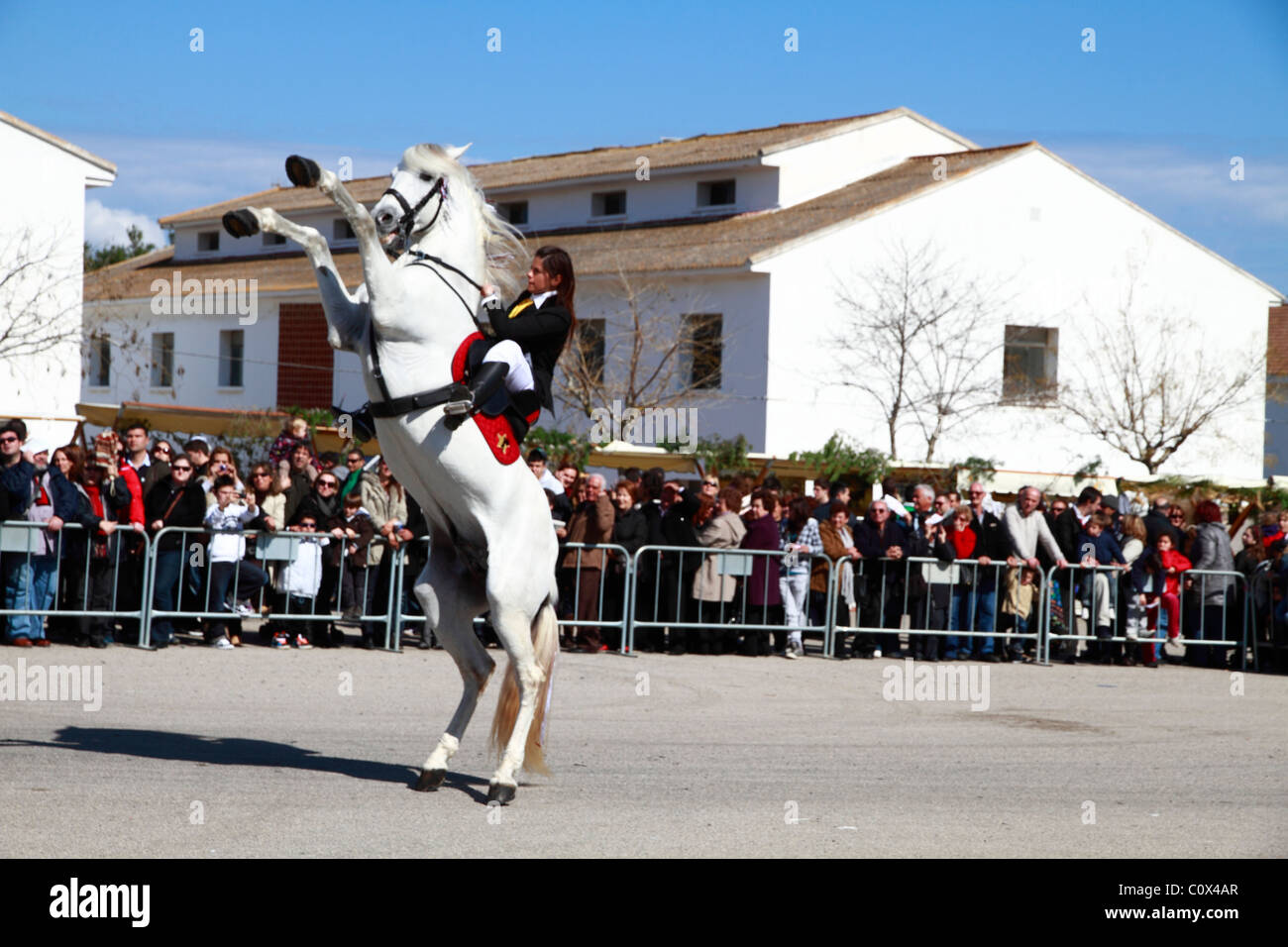 Rider eseguendo minorchina dressage Foto Stock