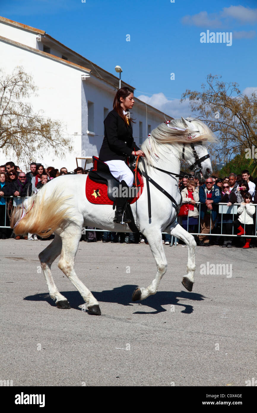 Piloti di eseguire menorcan dressage Foto Stock