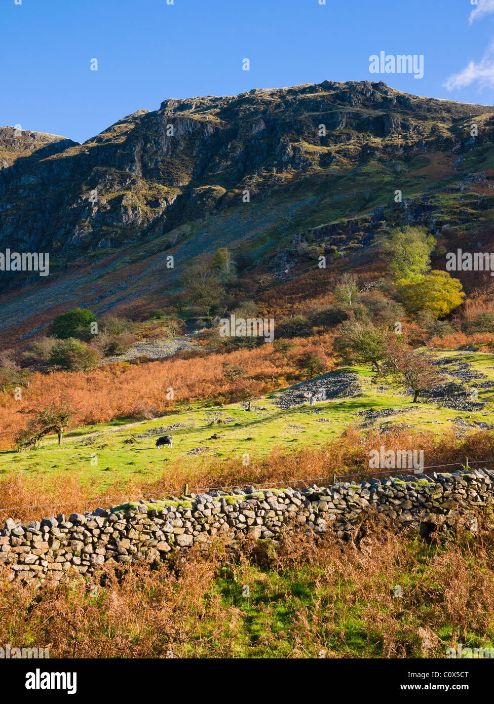 Il versante occidentale di Whin Rigg a Wastwater vicino Nether Wasdale nel Lake District National Park, Cumbria, Inghilterra. Foto Stock