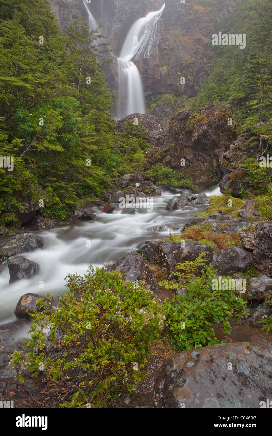 Le Waitonga Falls, Tongariro National Park, North Island, Nuova Zelanda (sulle pendici del Monte Ruapehu) Foto Stock