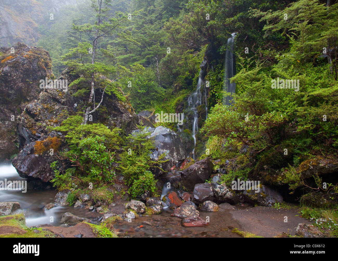 La cascata del parco nazionale di Tongariro, Isola del nord, Nuova Zelanda Foto Stock