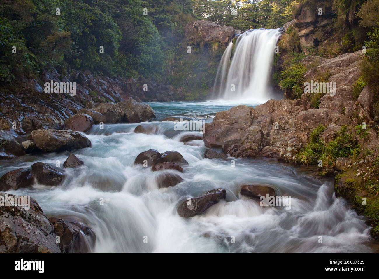 Tawhai Falls (Whakapapanui Stream), il Parco nazionale di Tongariro, Isola del nord, Nuova Zelanda Foto Stock