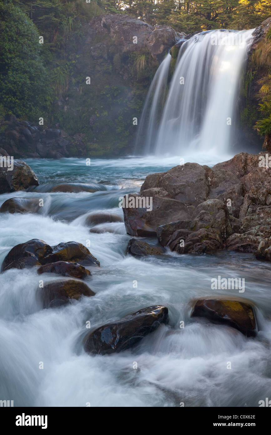 Tawhai Falls (Whakapapanui Stream), il Parco nazionale di Tongariro, Isola del nord, Nuova Zelanda Foto Stock