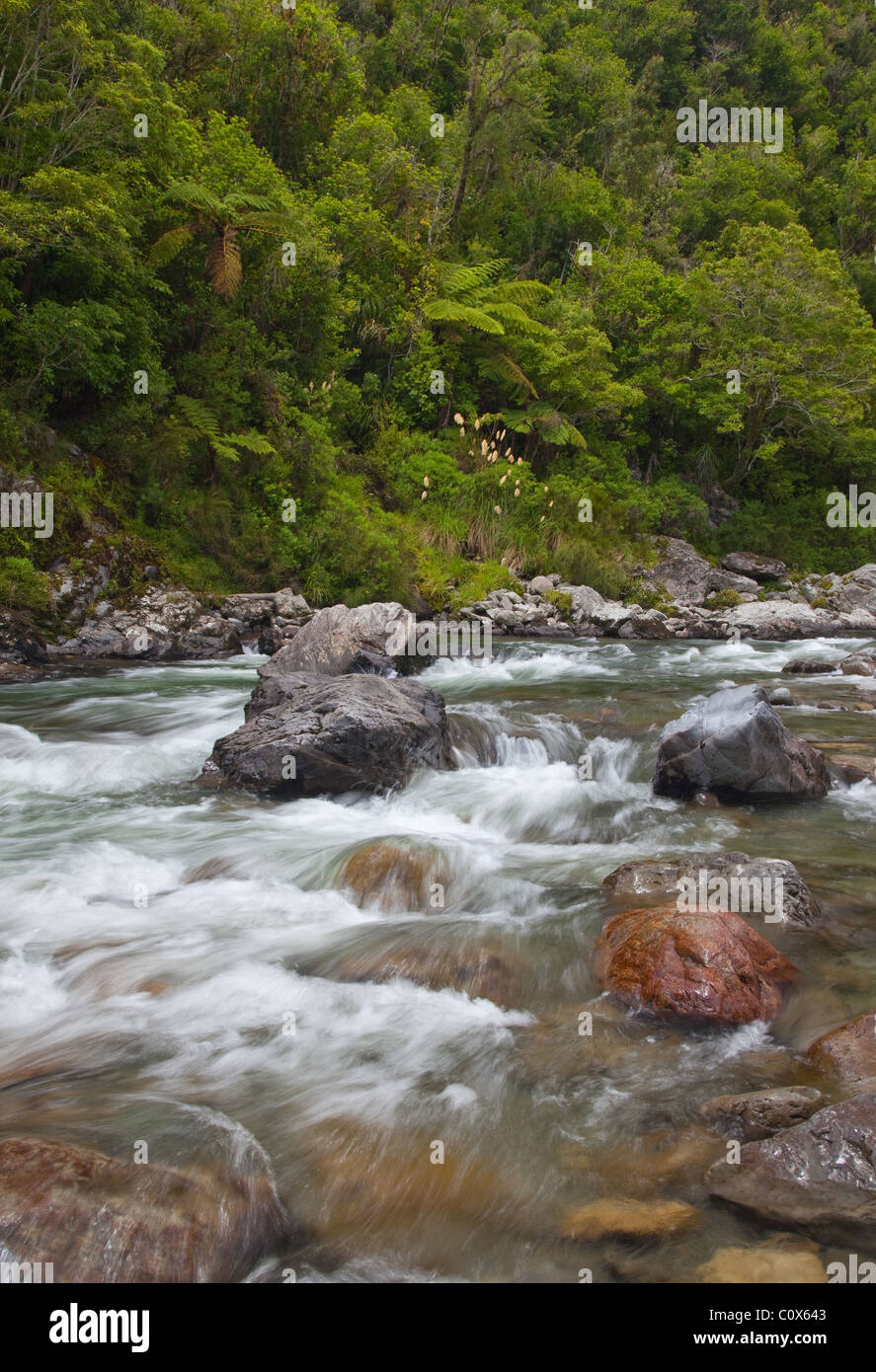 Otaki River, Tararua Forest Park, North Island, Nuova Zelanda Foto Stock