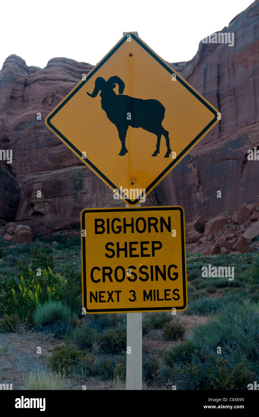 Un bighorn segno di attraversamento in Arches National Park in Moab, ut, Stati Uniti d'America. Foto Stock