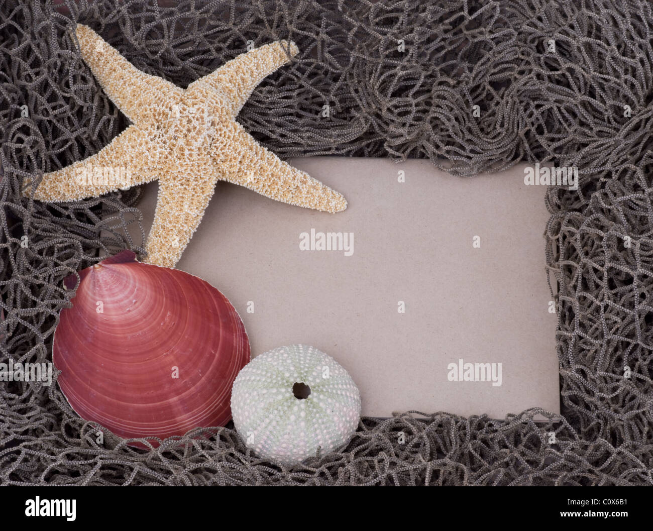 Spazio per messaggi di testo circondato da stelle marine, ricci di mare, conchiglia di vongola rossa rosa e rete di pesce. Una sistemazione balneare. Foto Stock